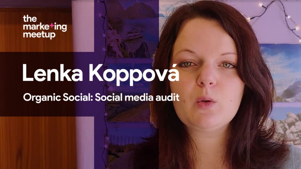 How to social media audit